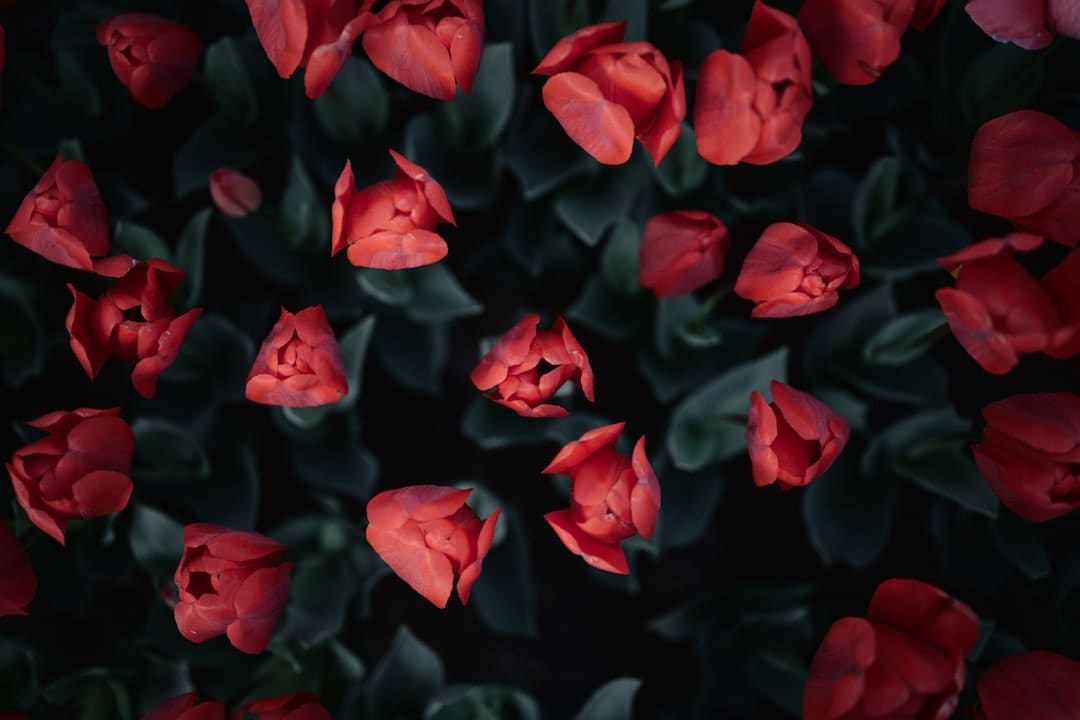 更多医疗机构将完善无障碍环境建设